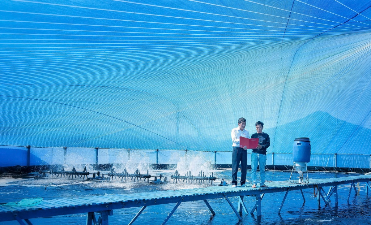 Agribank thực thi ESG toàn diện: từ vốn xanh đến an sinh cộng đồng