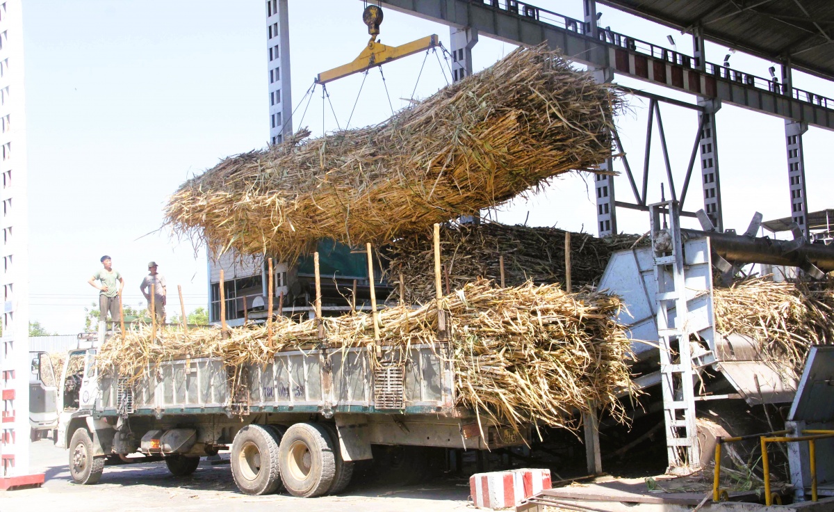 Để tận dụng hiệu quả nguồn vốn xanh, doanh nghiệp cần chủ động nâng cao nhận thức về giá trị của chuyển đổi xanh, đẩy mạnh chuyển đổi số, xây dựng mô hình sản xuất tuần hoàn…