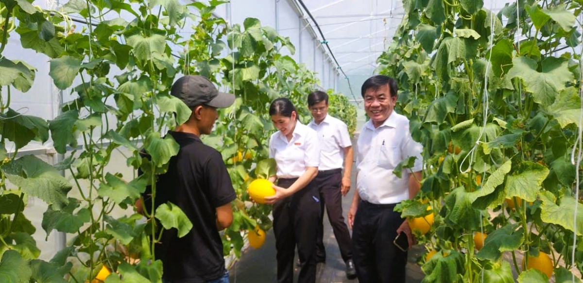 Đầu tư phát triển mô hình nông nghiệp sạch, áp dụng công nghệ cao ở xã Lâm Sơn, Khánh Hòa.