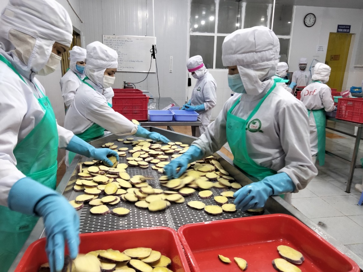 Nâng cao chất lượng nguồn nhân lực, cải thiện đời sống công nhân