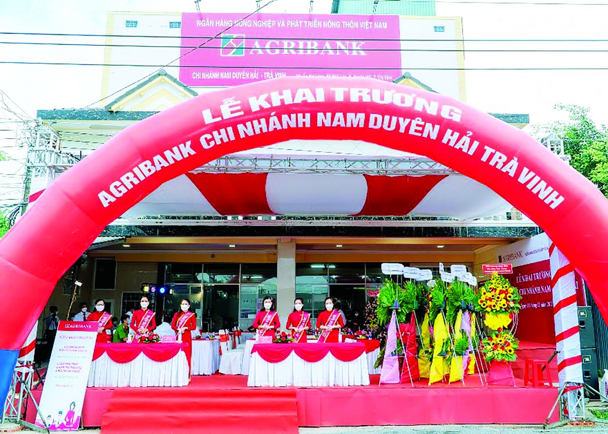 Agribank chi nhánh Trà Vinh đã và đang khẳng định vai trò là người bạn đồng hành tin cậy cho nông dân, doanh nghiệp mạnh dạn đầu tư vào chuỗi giá trị dừa sáp