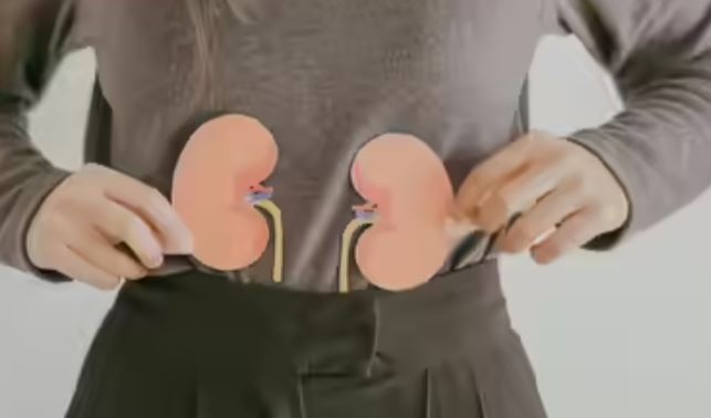 5 nguyên nhân hàng đầu gây ra protein trong nước tiểu và sỏi thận