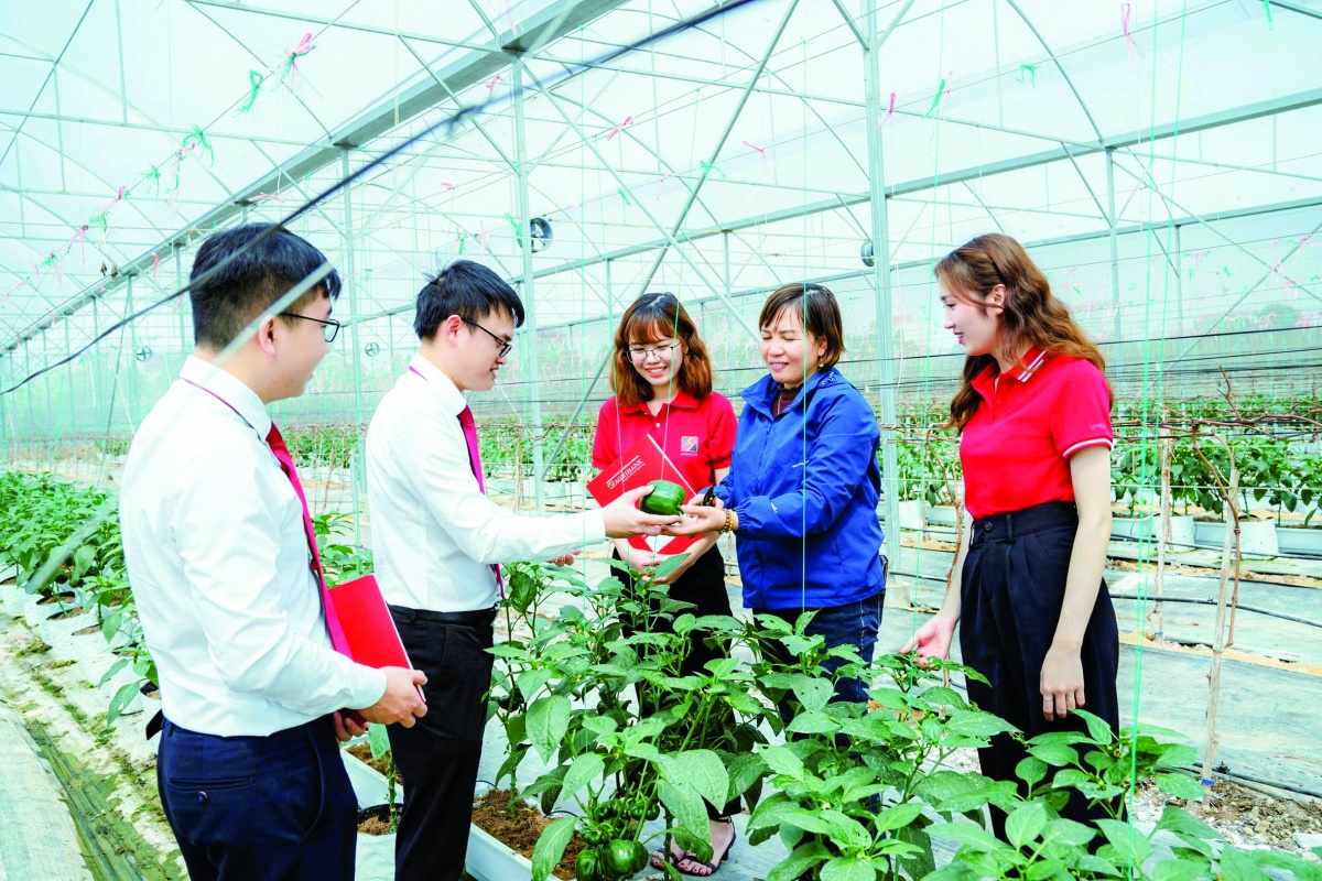 Cán bộ tín dụng của các ngân hàng luôn sâu sát, đảm bảo đồng vốn ngân hàng phát huy hiệu quả cao nhất Cán bộ tín dụng của các ngân hàng luôn sâu sát, đảm bảo đồng vốn ngân hàng phát huy hiệu quả cao nhất