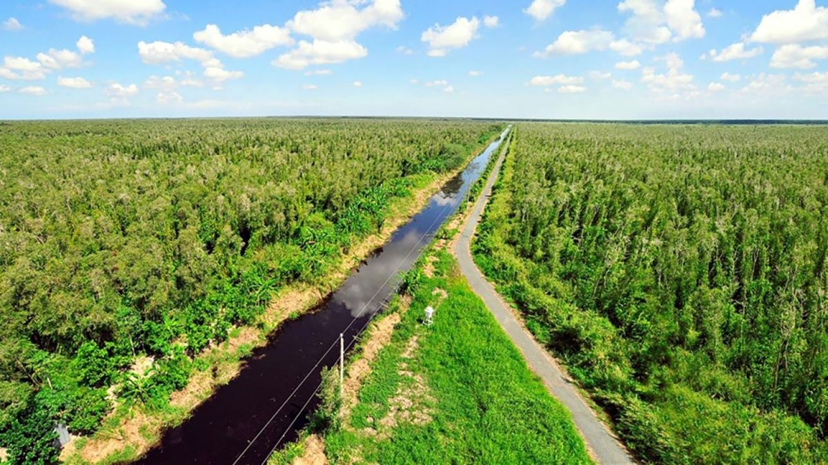 Thị trường carbon được xem là công cụ tài chính – chính sách quan trọng cho mục tiêu phát thải ròng bằng không Thị trường carbon được xem là công cụ tài chính – chính sách quan trọng cho mục tiêu phát thải ròng bằng không