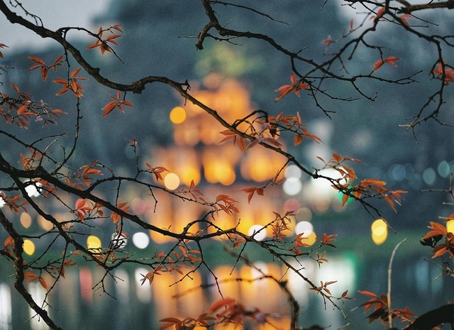 Mùa thu Hà Nội được coi là mùa đẹp nhất trong năm Mùa thu Hà Nội được coi là mùa đẹp nhất trong năm