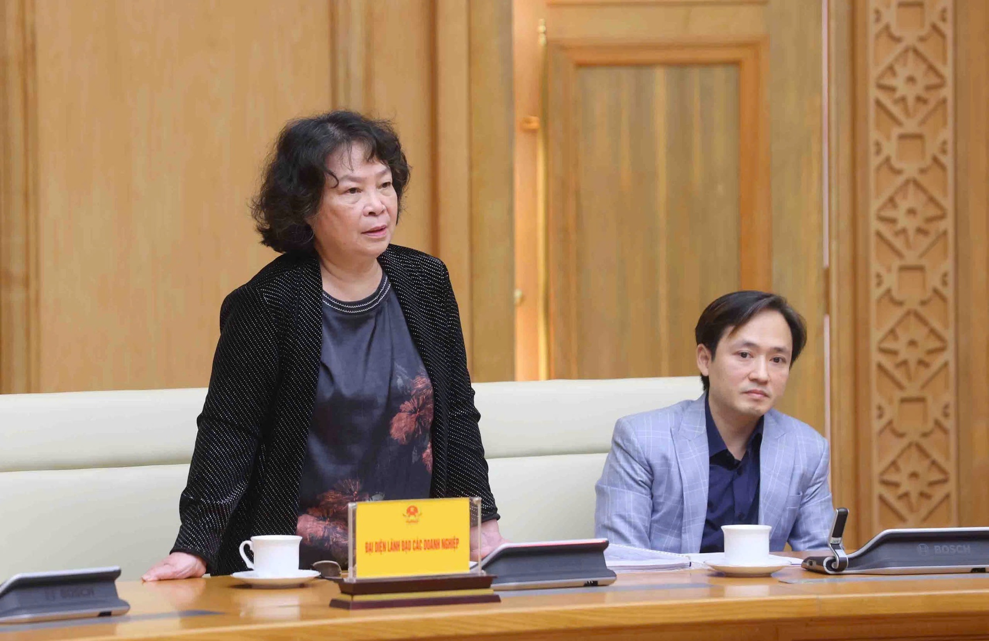 Đại diện Công ty TNHH Việt Nam 3000 phát biểu tại cuộc họp - Ảnh: VGP/Nguyễn Hoàng