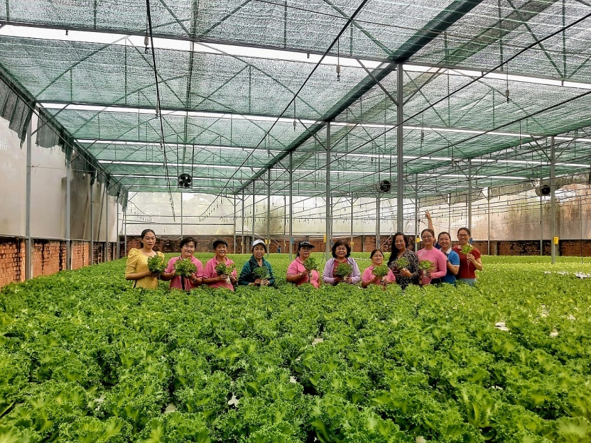 Định hình nông nghiệp đô thị tương lai, nông nghiệp trong lòng thành phố