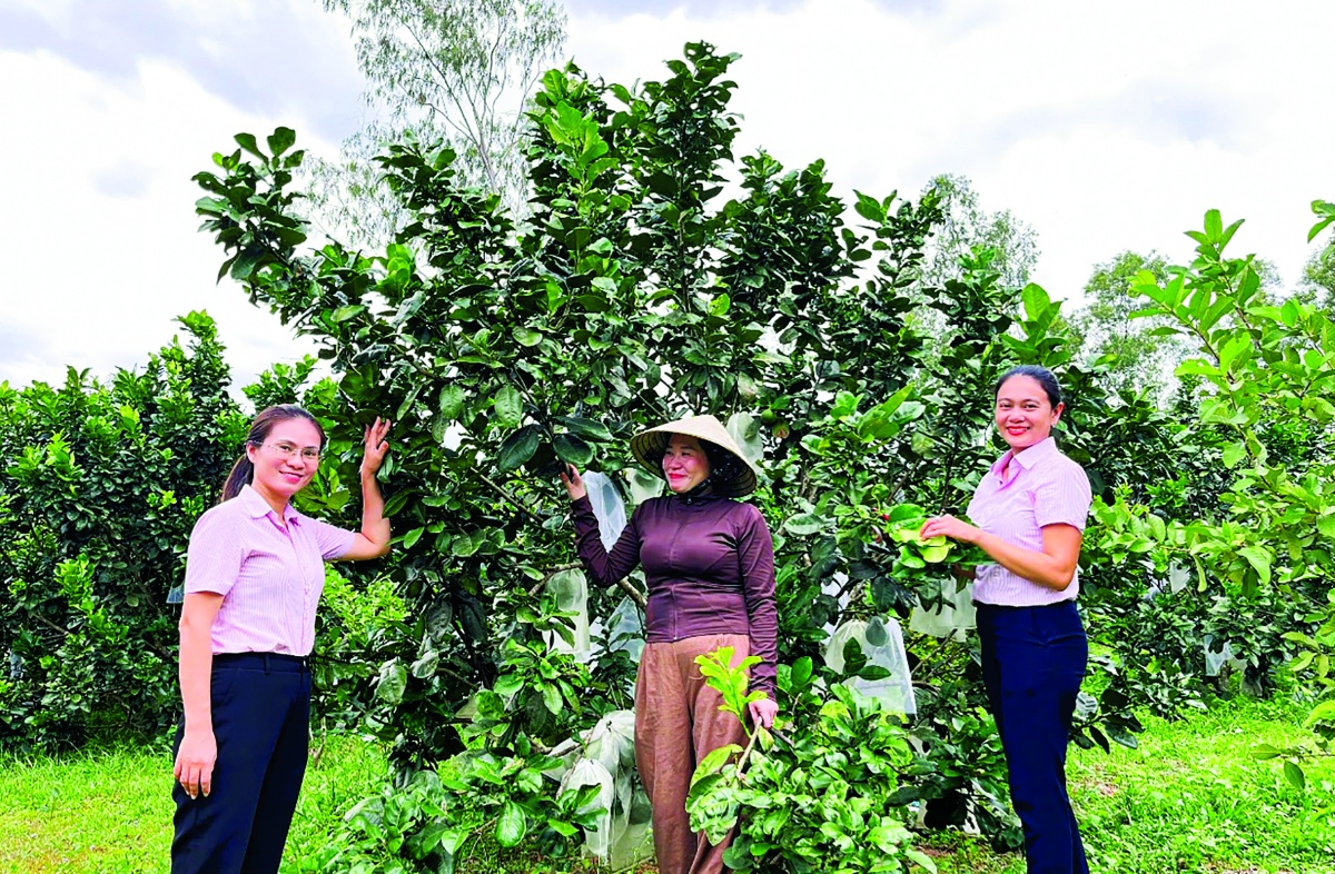 Sự đồng hành của hội, đoàn thể giúp nâng cao chất lượng tín dụng chính sách ở Gia Lai