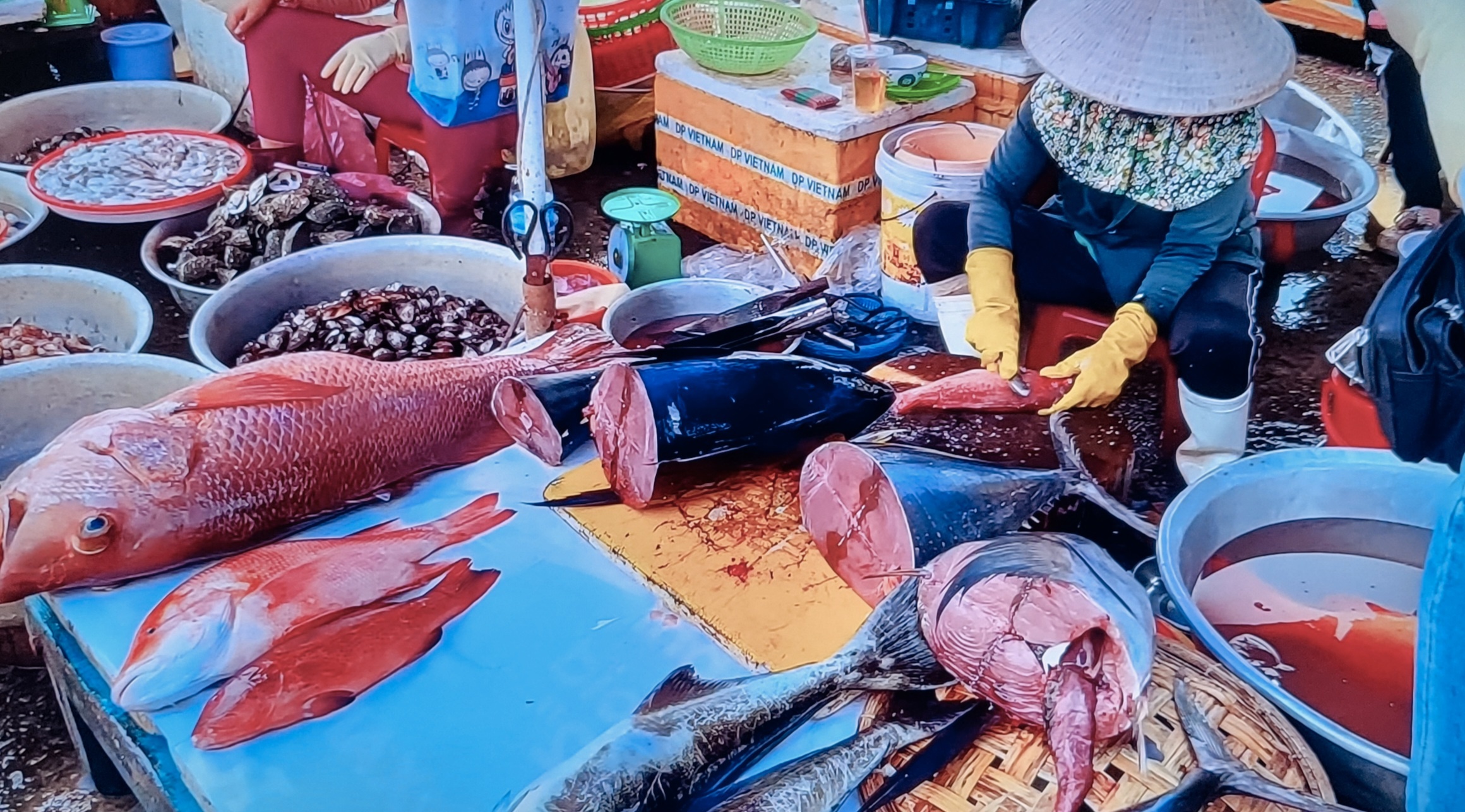 Thị trường nội địa cũng là lựa chọn tối ưu