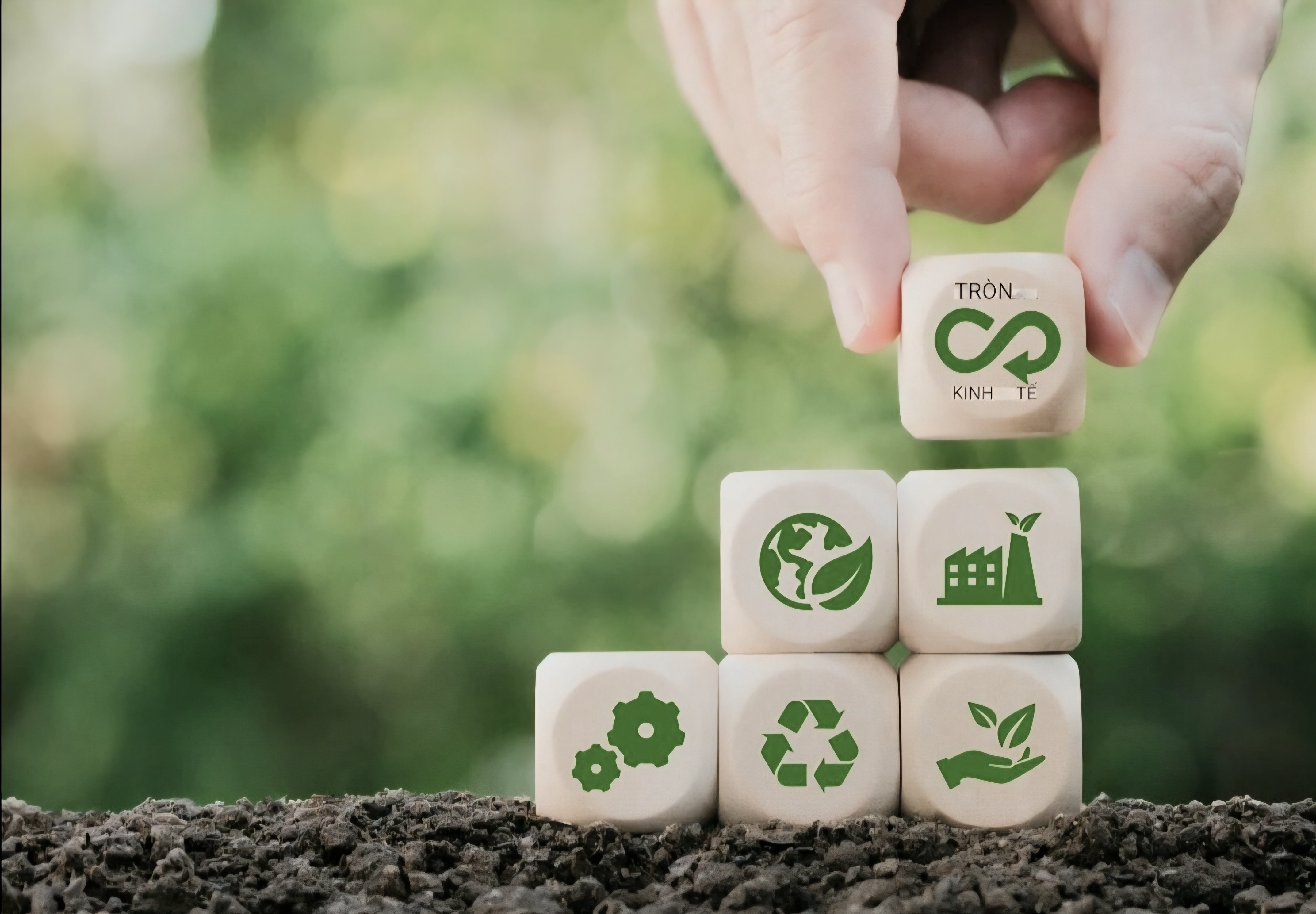 Động lực mới cho công nghiệp và năng lượng Việt Nam