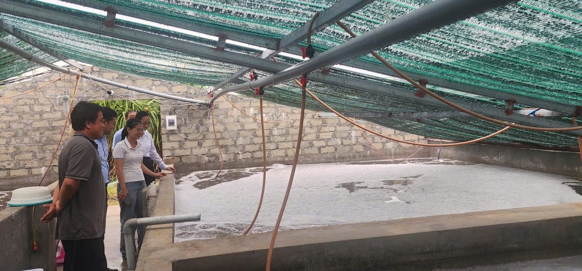 Mô hình nuôi tôm của ông Phạm Tuấn Anh ở xã Thiên Cầm được tiếp sức từ quỹ tín dụng nhân dân.