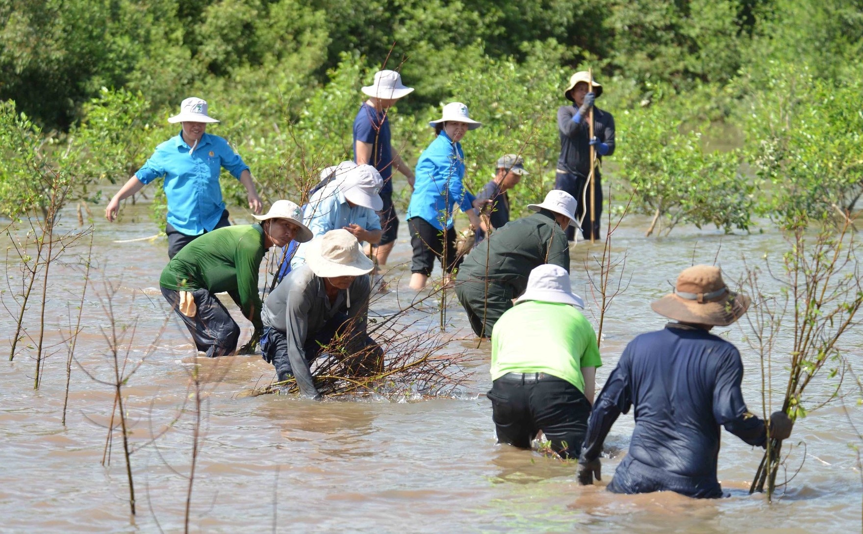 Quỹ Coca-Cola tài trợ mở rộng mô hình nuôi tôm trong rừng ngập mặn