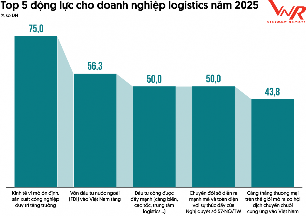 Logistics Việt - trụ cột của nền kinh tế với sự tăng trưởng mạnh mẽ Logistics Việt - trụ cột của nền kinh tế với sự tăng trưởng mạnh mẽ