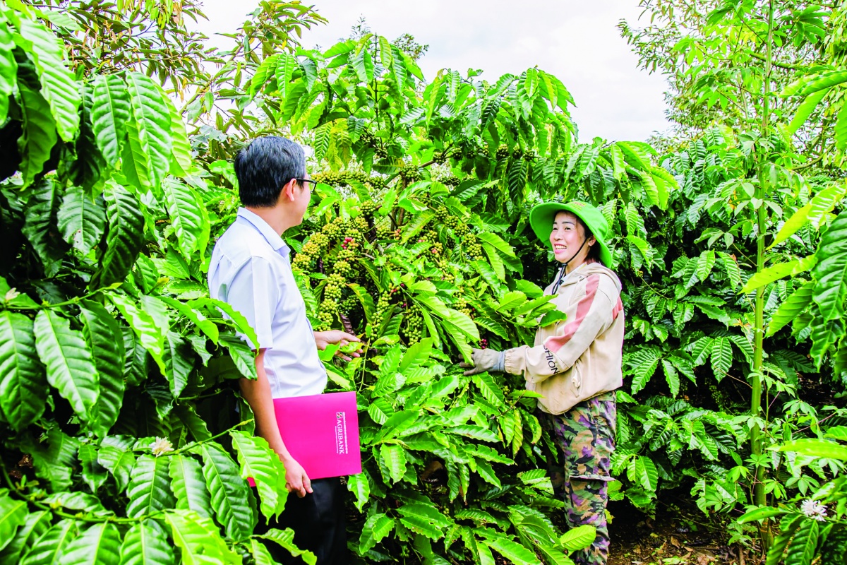 Dịch vụ ngân hàng hiện đại của Agribank không chỉ giúp người dân thanh toán thuận tiện mà còn mở ra nhiều dịch vụ tài chính với chi phí thấp, thậm chí miễn phí 