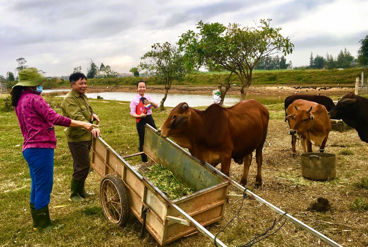 Tín dụng chính sách – điểm tựa bền vững cho nông dân Quảng Trị. Tín dụng chính sách – điểm tựa bền vững cho nông dân Quảng Trị.