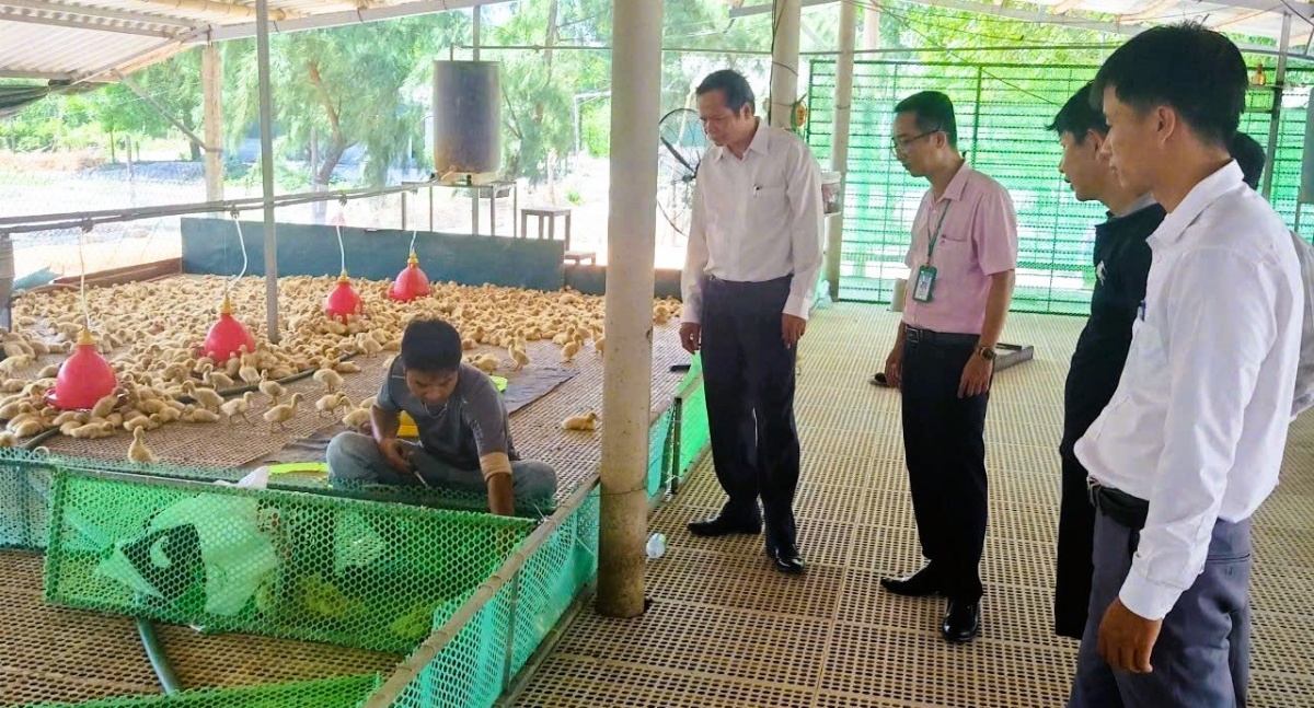 Mô hình vay vốn của gia đình anh Nguyễn Ngọc Cường, thôn 9 xã Nam Cửa Việt, tỉnh Quảng Trị thuộc Hội Nông dân quản lý Mô hình vay vốn của gia đình anh Nguyễn Ngọc Cường, thôn 9 xã Nam Cửa Việt, tỉnh Quảng Trị thuộc Hội Nông dân quản lý