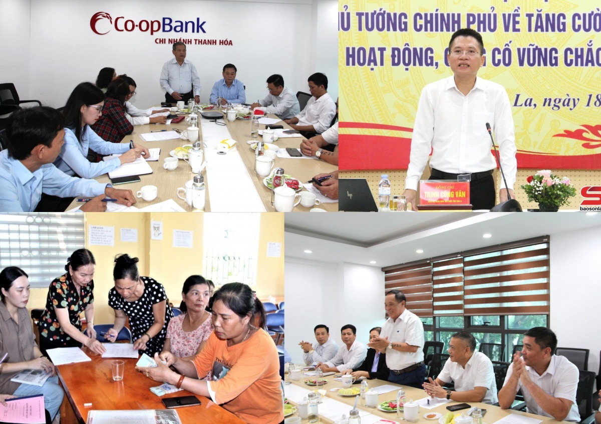 Từ Sơn La lan tỏa toàn quốc: Câu lạc bộ QTDND trở thành “cánh tay nối dài” của Hiệp hội