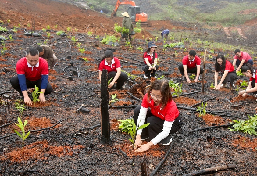 SeABank hỗ trợ trồng gần 671 nghìn cây xanh tại Hà Tĩnh, vượt mục tiêu 1 triệu cây