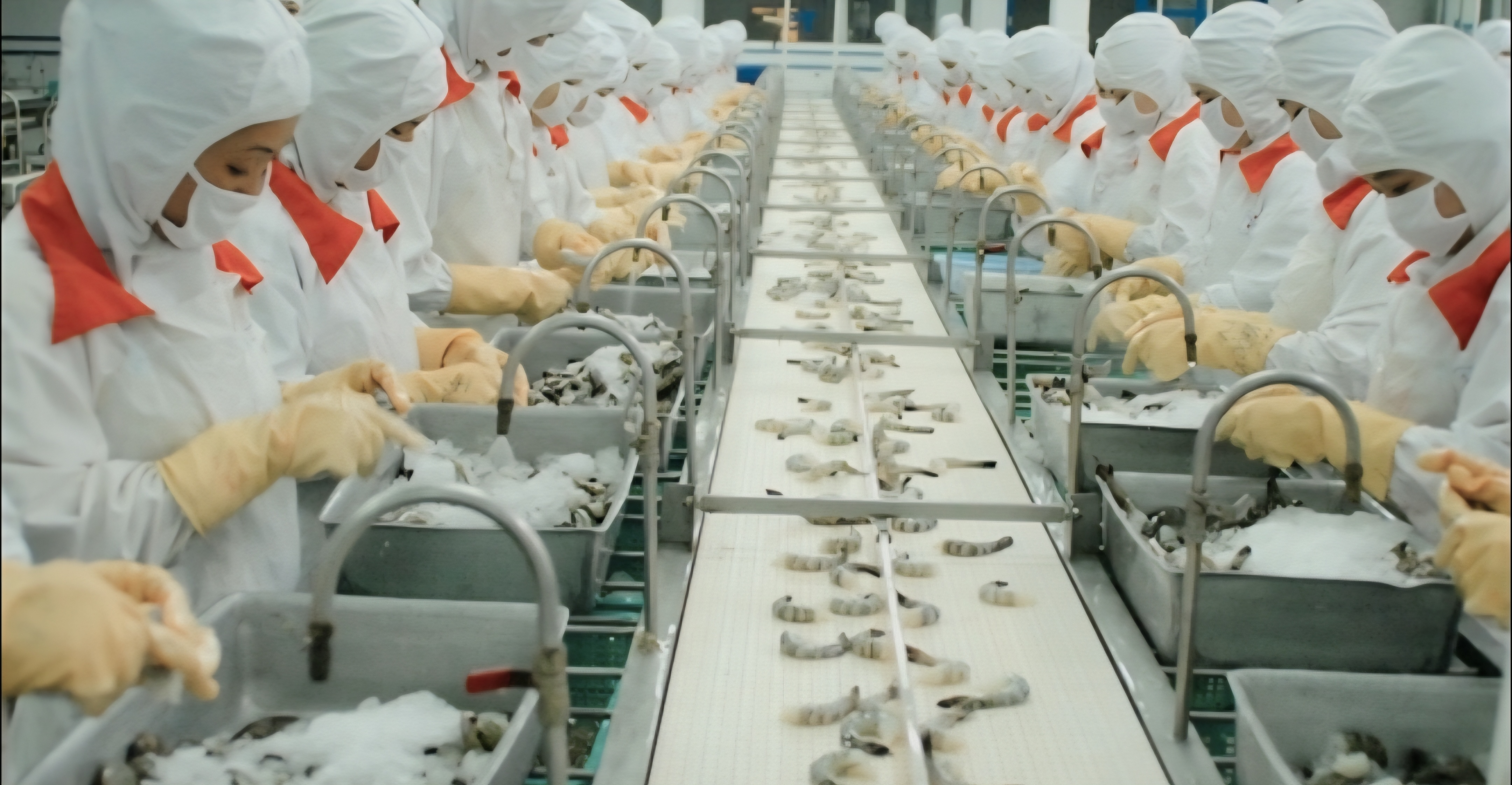 Nhật Bản hiện là một trong ba thị trường nhập khẩu thủy sản lớn nhất của Việt Nam