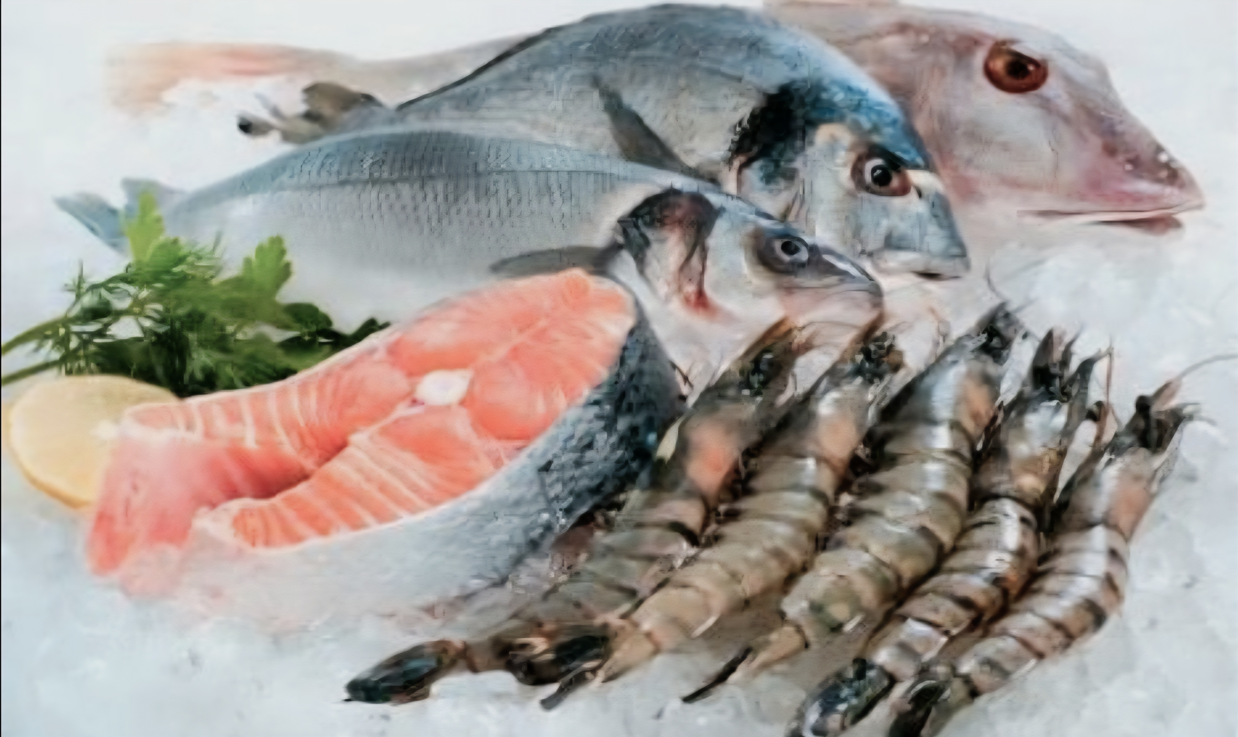 Thị trường Nhật Bản rất ưa chuộng các sản phẩm thủy sản của Việt Nam