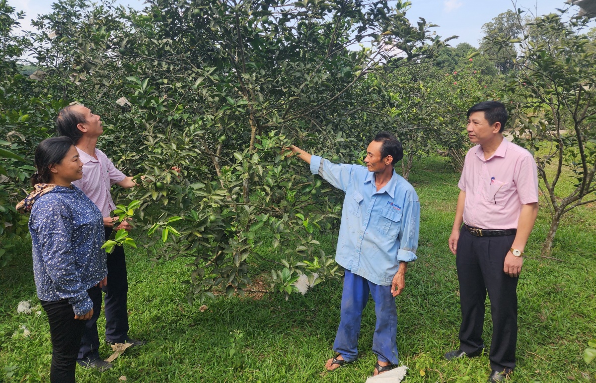 Dòng vốn đang chảy nhiều hơn vào các mô hình kinh tế, sản phẩm OCOP,