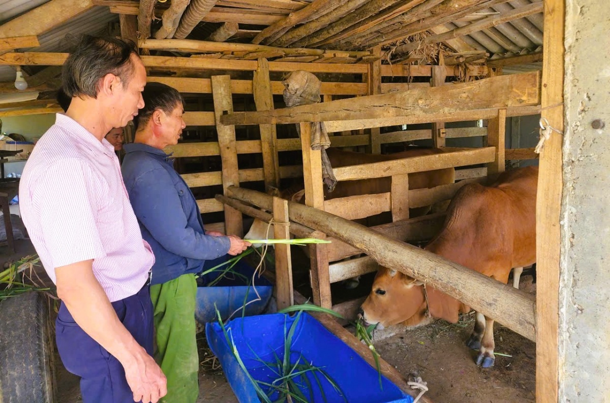 tín dụng chính sách không chỉ là công cụ hỗ trợ an sinh mà còn là đòn bẩy thúc đẩy phát triển kinh tế. 