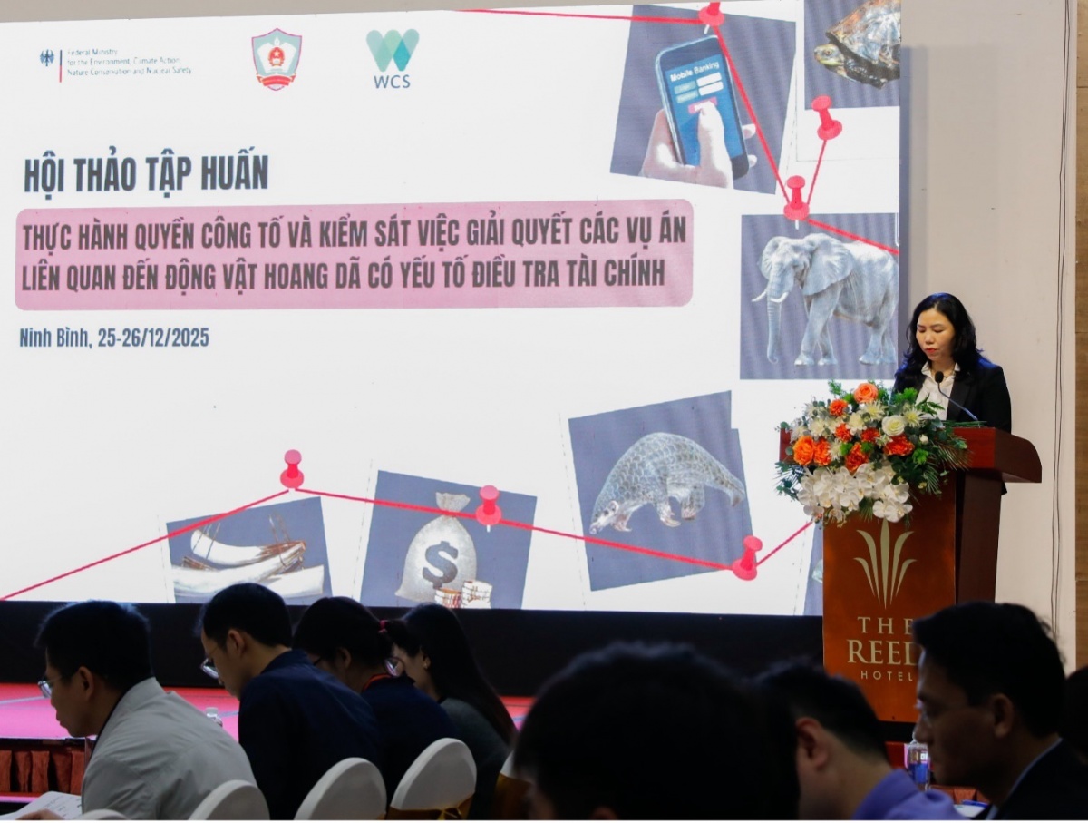 TS. Nguyễn Thị Lộc, Phó hiệu trưởng Trường Đại học Kiểm sát phát biểu khai mạc hội thảo tập huấn, Ninh Bình, tháng 12/2025