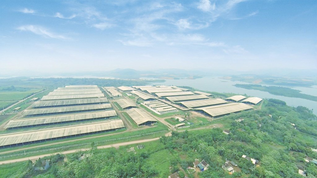 Bước chuyển trong kinh tế tuần hoàn