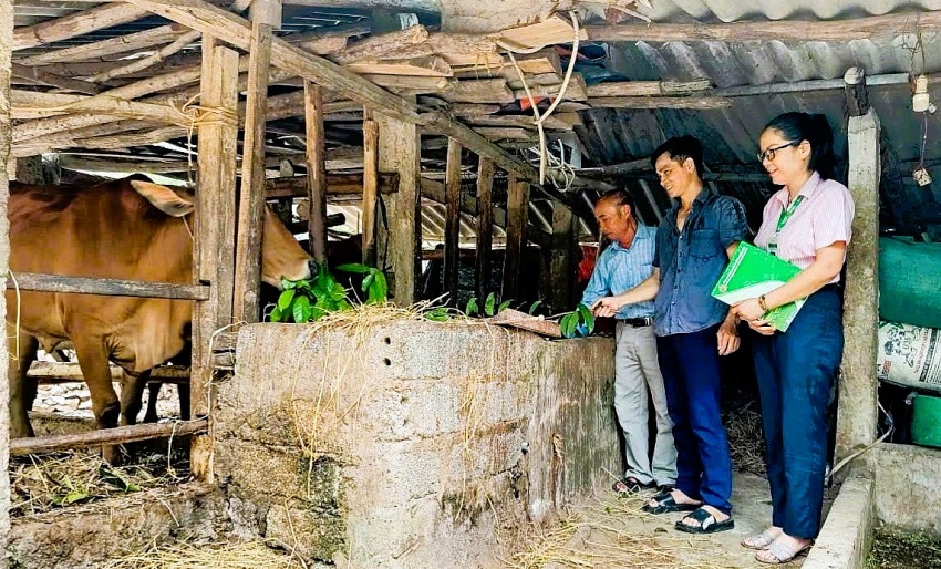 duy trì mạng lưới “điểm giao dịch”, bảo đảm phương châm “gần dân, sát dân”, không để việc sắp xếp đơn vị hành chính làm gián đoạn dòng vốn chính sách.