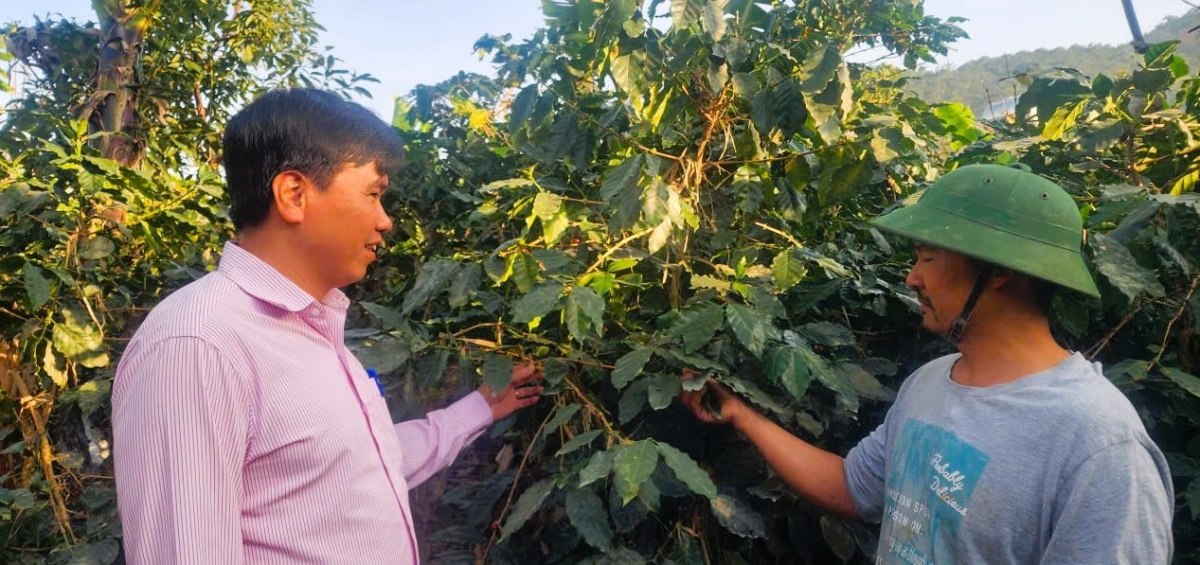 Anh Trần Hòa Bình ở xã D’ran được tiếp vốn phục hồi sản xuất sau thiên tai