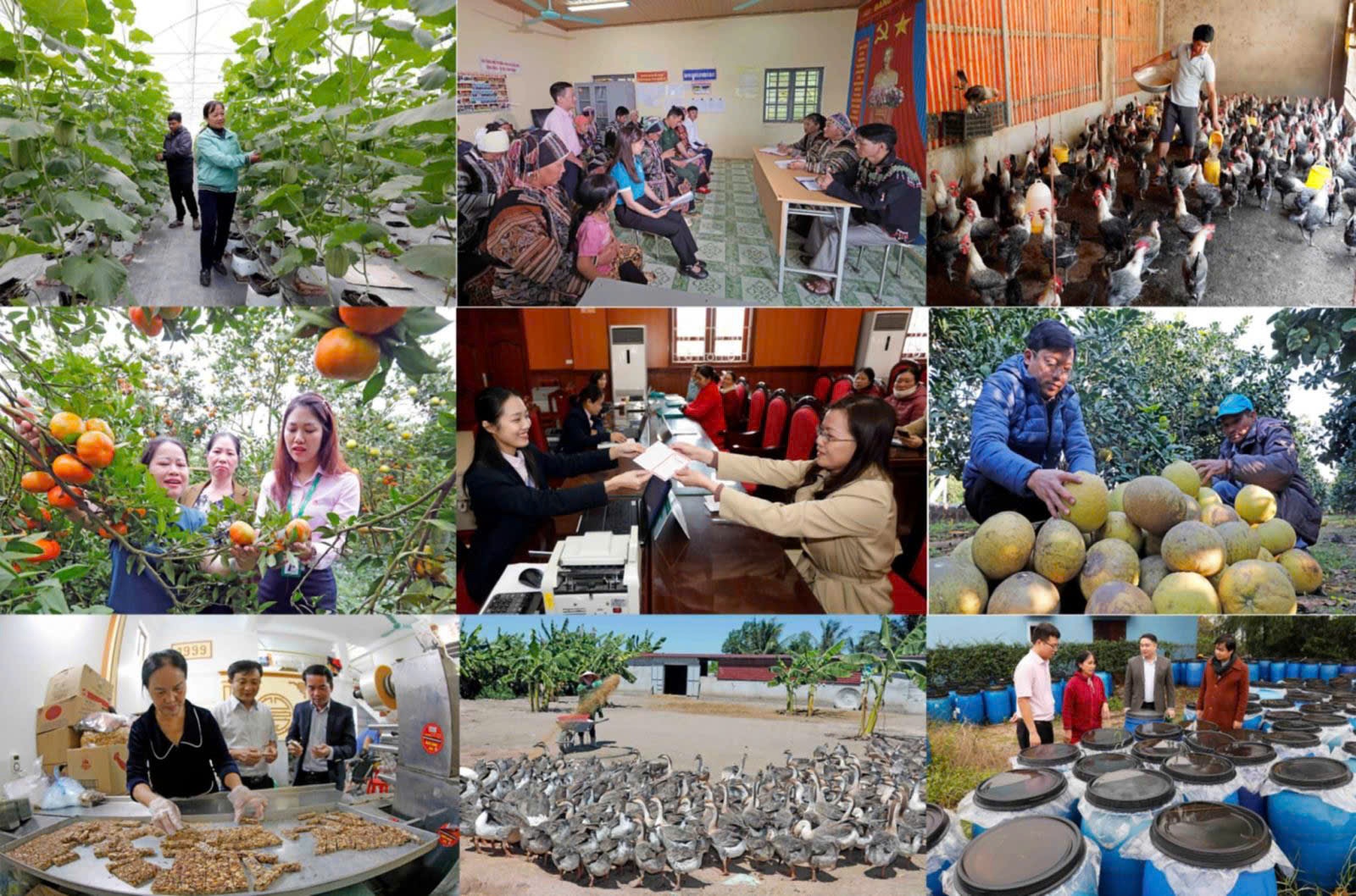 Hơn 11,1 triệu lượt hộ nghèo, hộ cận nghèo và các đối tượng chính sách khác được vay vốn để phát triển sản xuất, kinh doanh trong riêng 5 năm qua