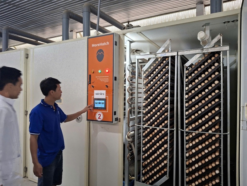 Doanh nghiệp đã chủ động xanh hóa để tăng trưởng bền vững