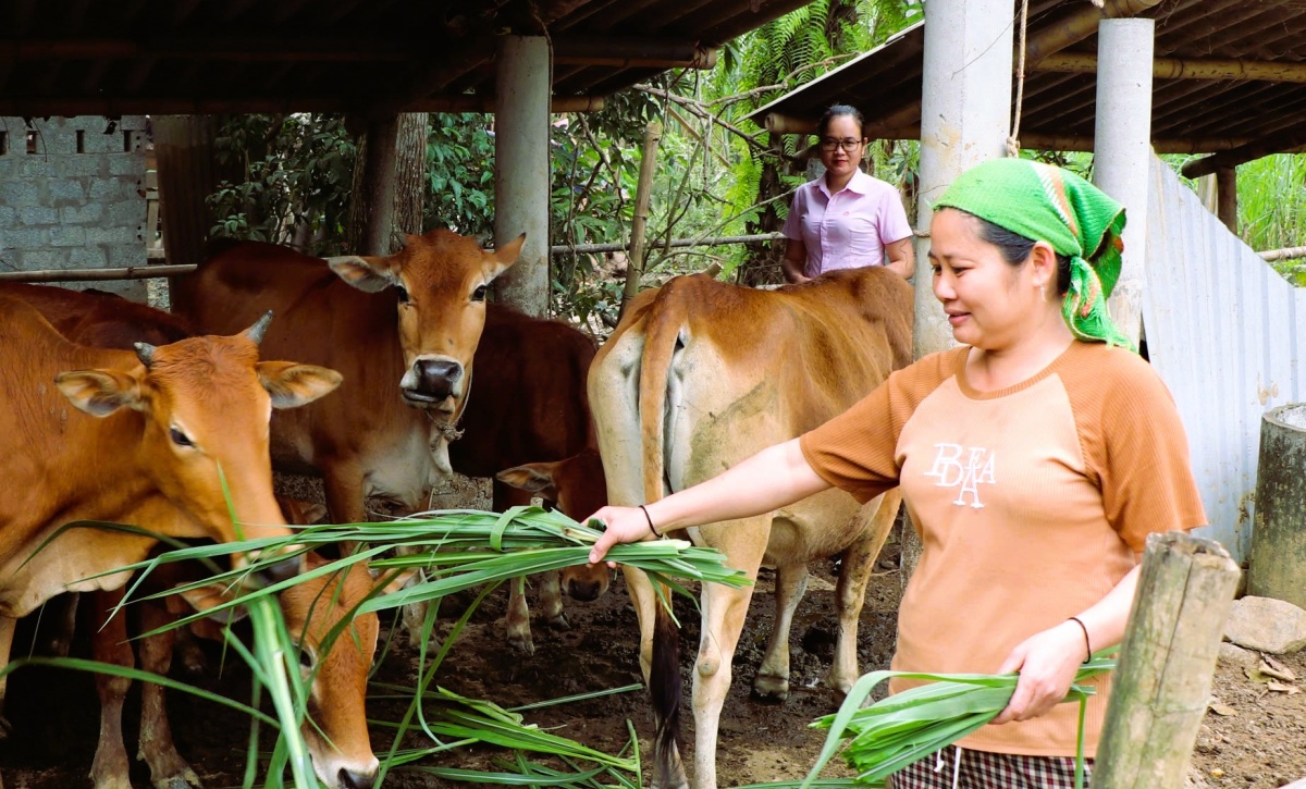 Tín dụng chính sách tiếp tục đóng góp quan trọng vào mục tiêu giảm nghèo, giải quyết việc làm và đảm bảo an sinh trên địa bàn Nghệ An. Tín dụng chính sách tiếp tục đóng góp quan trọng vào mục tiêu giảm nghèo, giải quyết việc làm và đảm bảo an sinh trên địa bàn Nghệ An.