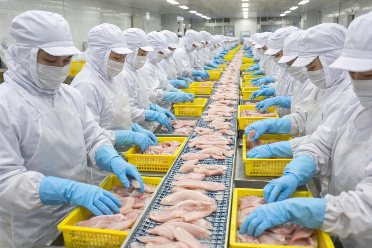 Xuất khẩu cá tra vượt sóng và bài toán “đổi trục” cho năm 2026 Xuất khẩu cá tra vượt sóng và bài toán “đổi trục” cho năm 2026