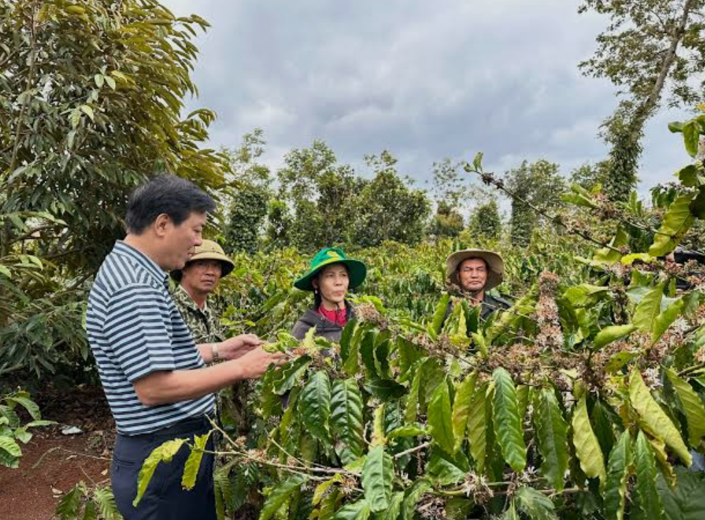 Truy xuất nguồn gốc để nâng tầm giá trị nông sản Việt