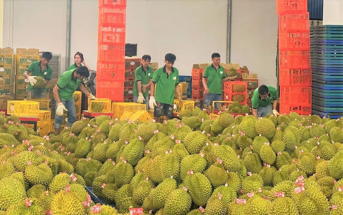Nhiều điểm sáng trong xuất khẩu nông sản bốn tháng đầu năm 2026