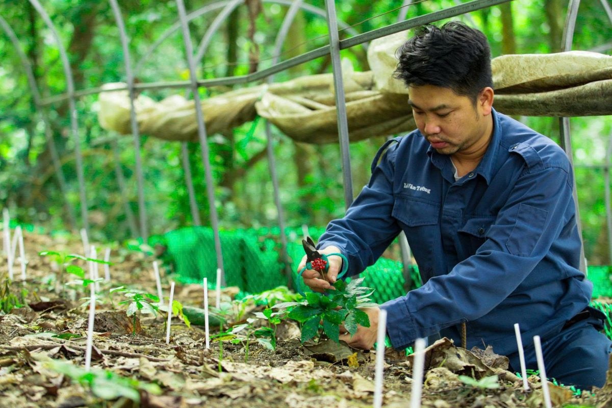 Nông sản Việt tăng cường xuất khẩu, kim ngạch đạt gần 36 tỷ USD