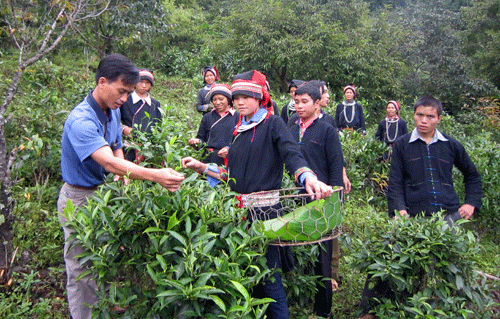 Hộ dân tộc thiểu số chiếm 52,7% số hộ nghèo của cả nước