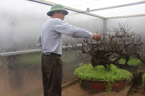 ruot duoi cung thoi gian nguoi trong dao san sang don tet