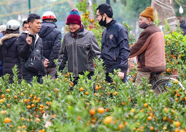 bac bo bac trung bo duy tri tinh trang ret tu ngay 30 den mung 8 tet