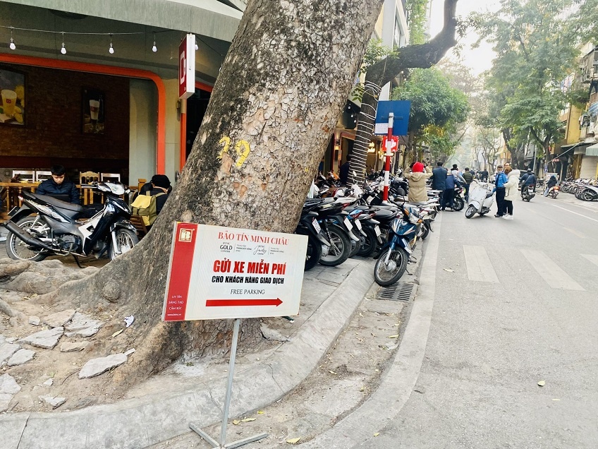 da dang mau ma thuong hieu vang trong ngay via than tai