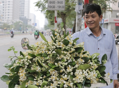 Mùa hoa bưởi Mùa hoa bưởi