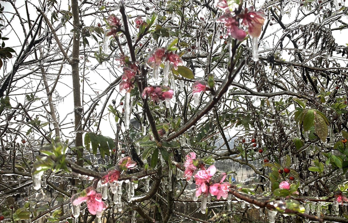 trong thang 3 bac bo con chiu tac dong cua khong khi lanh