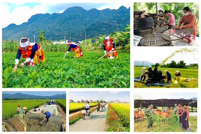 Tháo gỡ khó khăn trong triển khai các chương trình mục tiêu quốc gia thao go kho khan trong trien khai cac chuong trinh muc tieu quoc gia