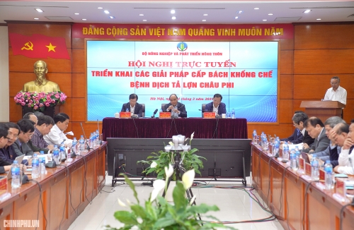 Triển khai đồng bộ các giải pháp khống chế bệnh dịch tả lợn châu Phi