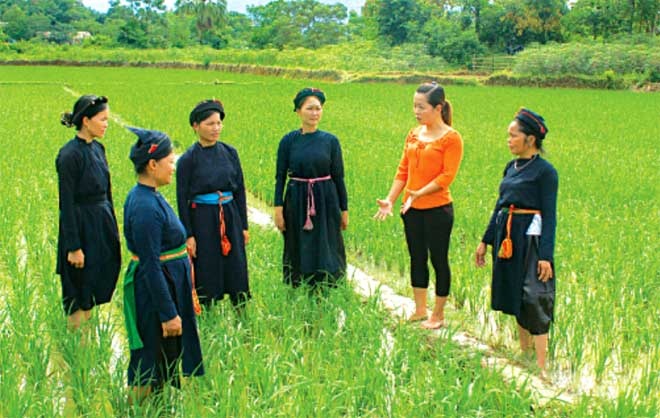 Lập Hội đồng thẩm định Chương trình MTQG phát triển KTXH vùng dân tộc thiểu số, miền núi Lập Hội đồng thẩm định Chương trình MTQG phát triển KTXH vùng dân tộc thiểu số, miền núi