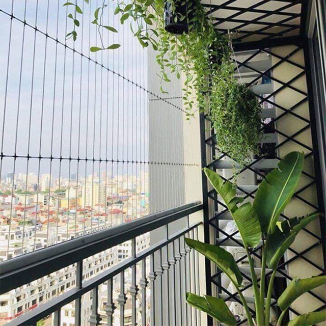 nguoi dan do xo di lap luoi bao ho cho nha chung cu