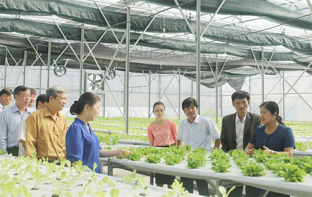 Chiến lược phát triển kinh tế tập thể: Thu hút nông dân, hộ kinh tế cá thể và nhiều tổ chức tham gia