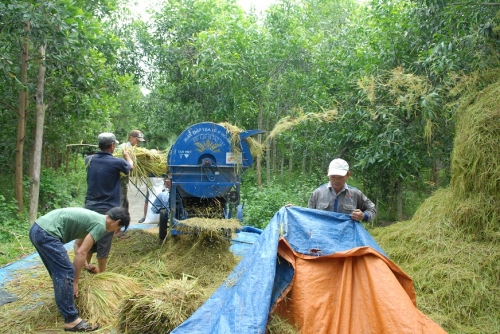 Tín dụng “tam nông” chiếm khoảng 25% tổng dư nợ nền kinh tế