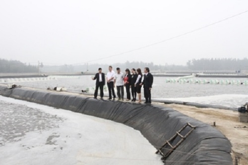 Agribank hướng tới mục tiêu lợi nhuận 10 nghìn tỷ đồng Agribank hướng tới mục tiêu lợi nhuận 10 nghìn tỷ đồng